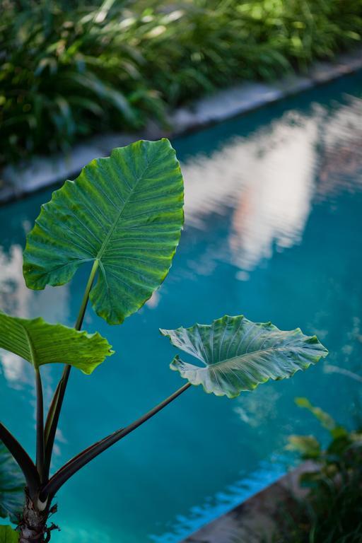 Casa Bidadari Suite&apartment Aparthotel Seminyak (Bali)